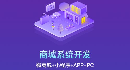 商聯達科普 商城系統開發方式怎么選擇